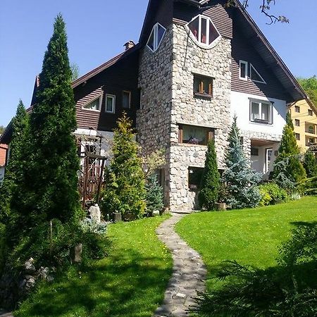 Pension Casa Contelui Rîşnov Exterior foto