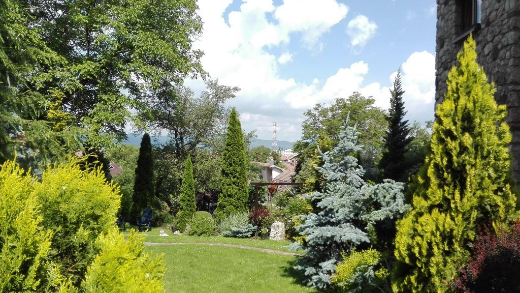 Pension Casa Contelui Rîşnov Exterior foto