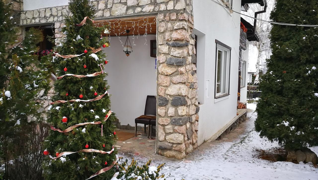 Pension Casa Contelui Rîşnov Exterior foto